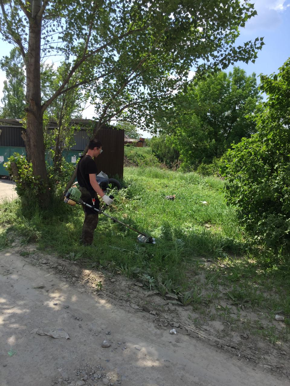 Покос растительности